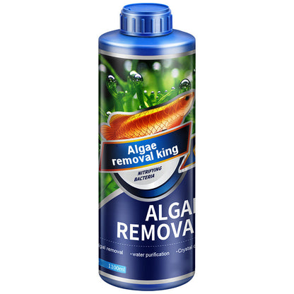 🔥Hot sale🔥Crazy Aquatic hierba removedor de algas para algas rey