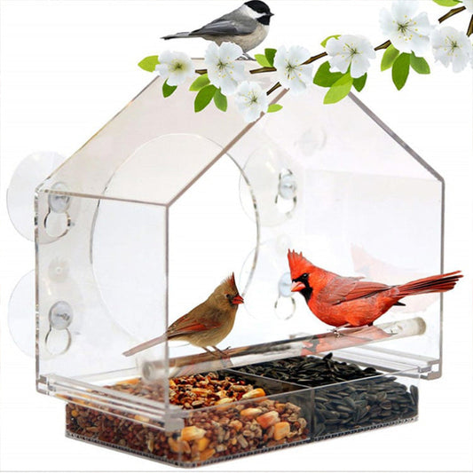 Comedero para Pájaros con Ventana de Acrílico Transparente