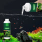 Half price for a limited time 🎉 Algae & Moss Remover for Fish Tanks & Ponds - Safe Water Purification