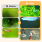 Half price for a limited time 🎉 Algae & Moss Remover for Fish Tanks & Ponds - Safe Water Purification